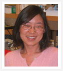 Suqing Liu : Research Technician